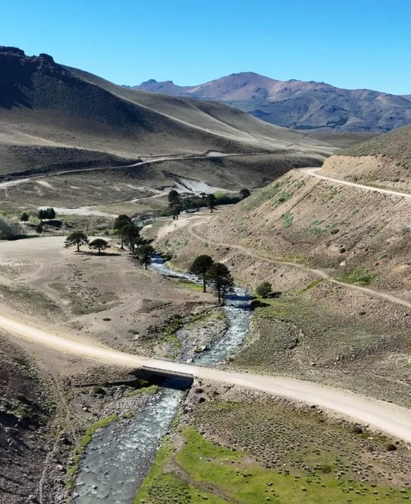 Camino de ripio junto al río, entre araucarias, rumbo a Villa Pehuenia