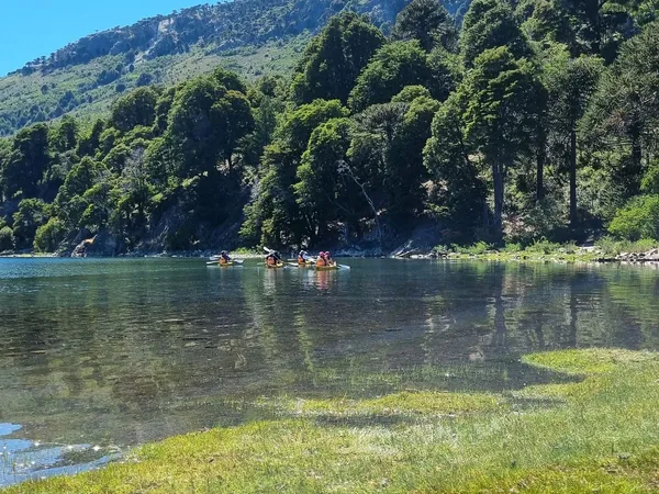 Kayaks recorriendo el lago entre araucarias en verano