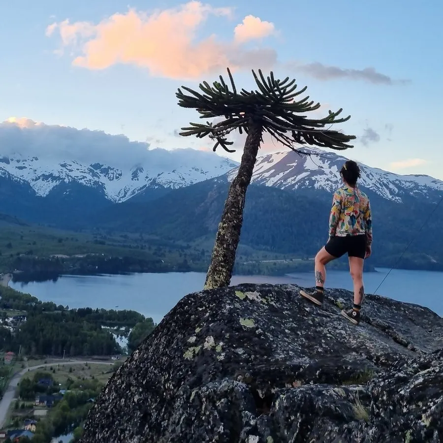 Persona contemplando el lago y la cordillera nevada junto a una araucaria