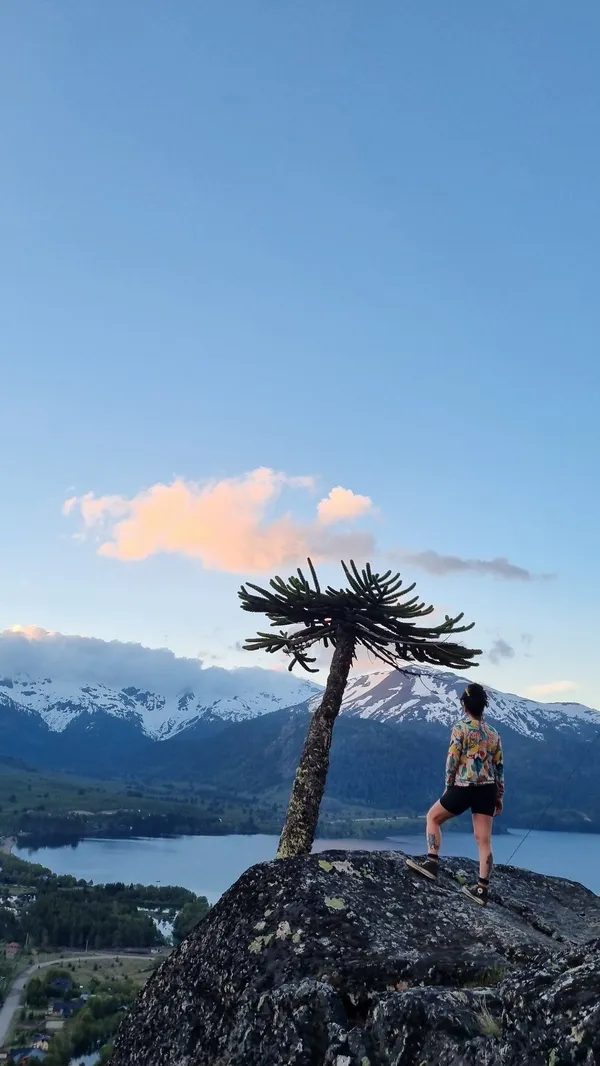 Persona contemplando el lago y la cordillera nevada